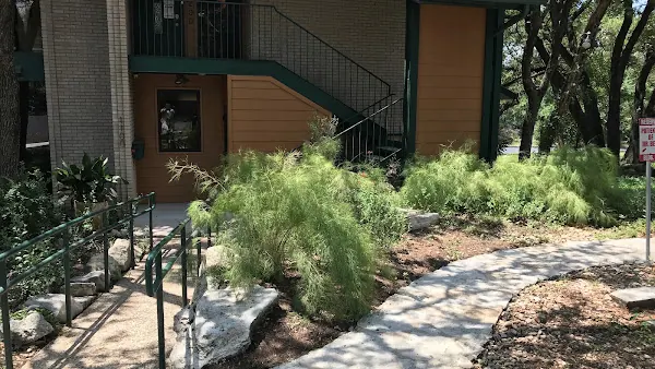 Austin Ketamine Clinic — ketamine clinic in Austin, Texas (photo 2 of 3)