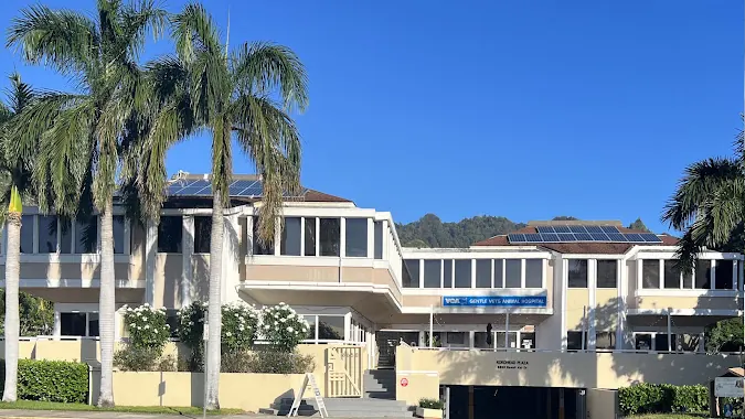 Ketamine Therapy Hawaii — ketamine clinic in Honolulu, Hawaii (photo 1 of 3)