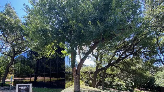 Sol Psychiatry — ketamine clinic in Austin, Texas (photo 2 of 3)