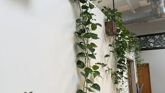 Synaptic Institute | Ketamine Therapy | Naturopathic Medicine | Acupuncture in Portland Oregon — ketamine clinic in Portland, Oregon (photo 3 of 3)